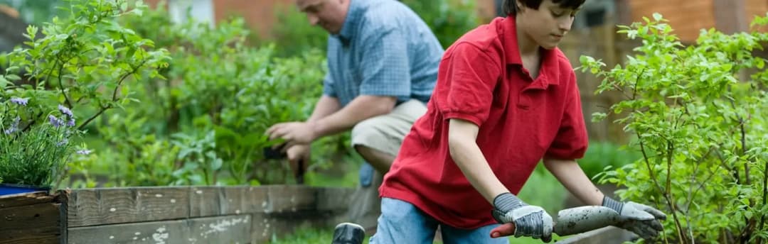 Tips for Smart Gardening