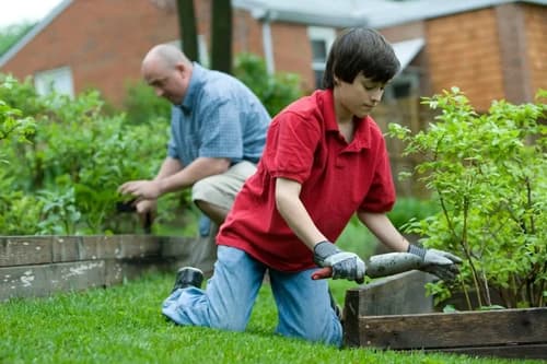 Tips for Smart Gardening